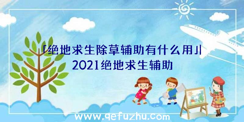 「绝地求生除草辅助有什么用」|2021绝地求生辅助